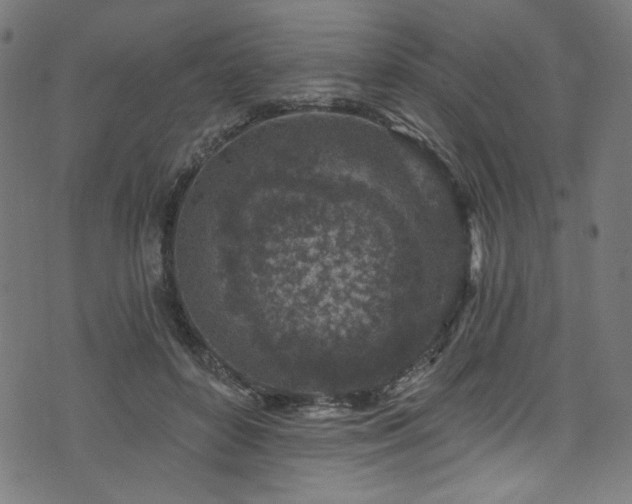 X0000074040504200608281448