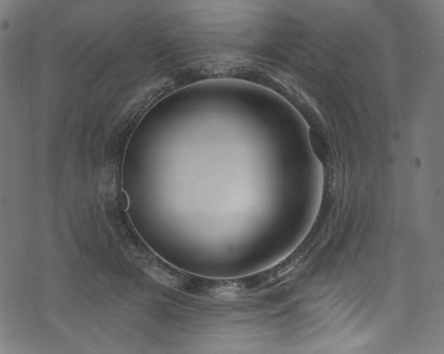 X0000074040505200608281448