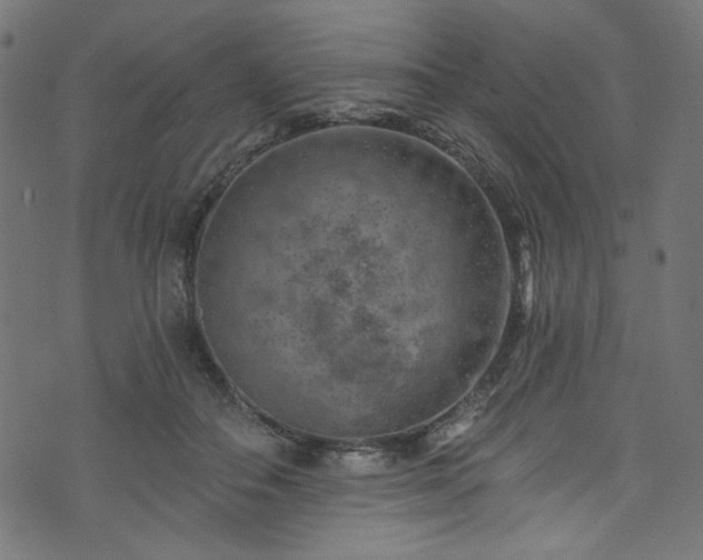 X0000074040506200608281448