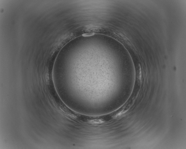 X0000074040508200608281448