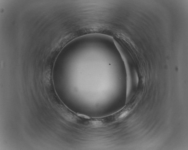 X0000074040509200608281448