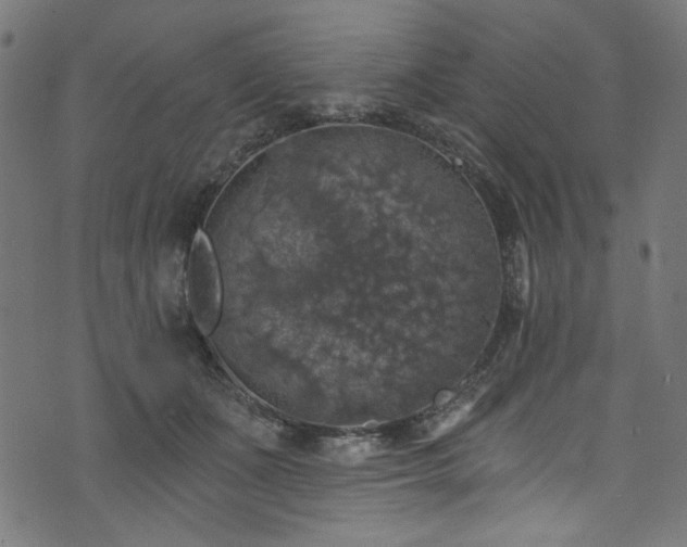 X0000074040511200608281448