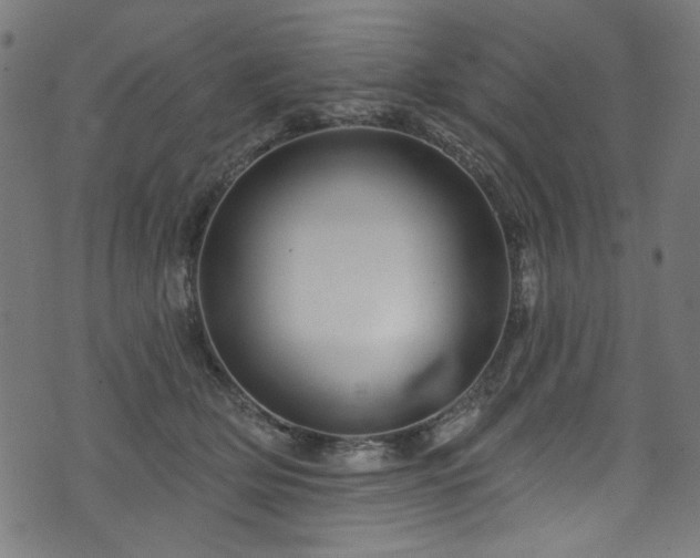 X0000074040514200608281448