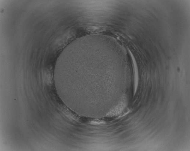 X0000074040515200608281448