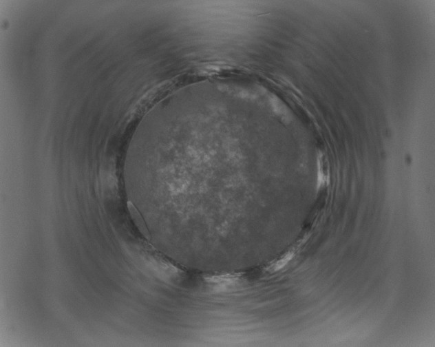 X0000074040516200608281448