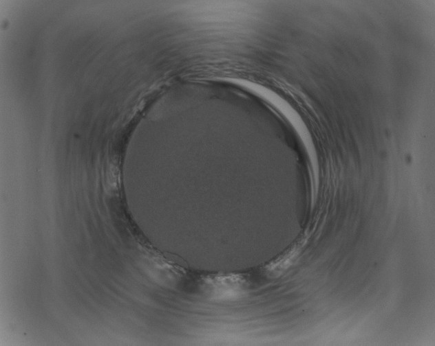 X0000074040517200608281448