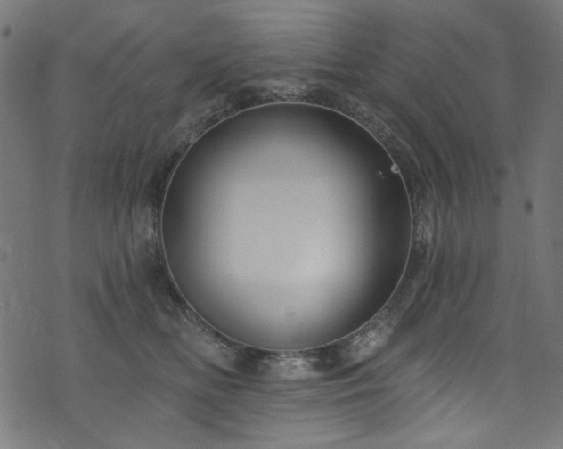 X0000074040518200608281448