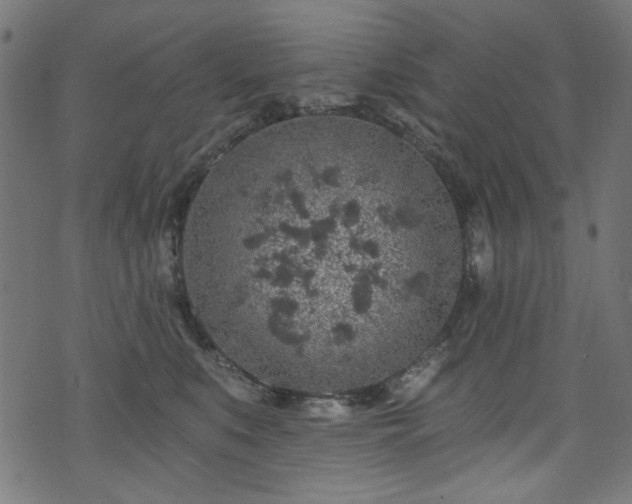 X0000074040519200608281448