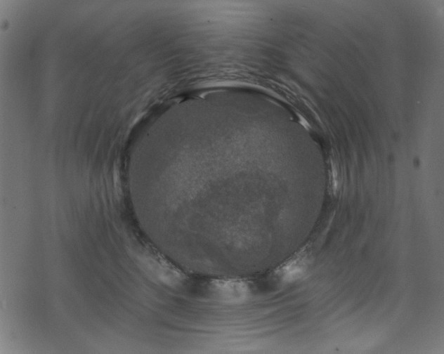 X0000074040520200608281448