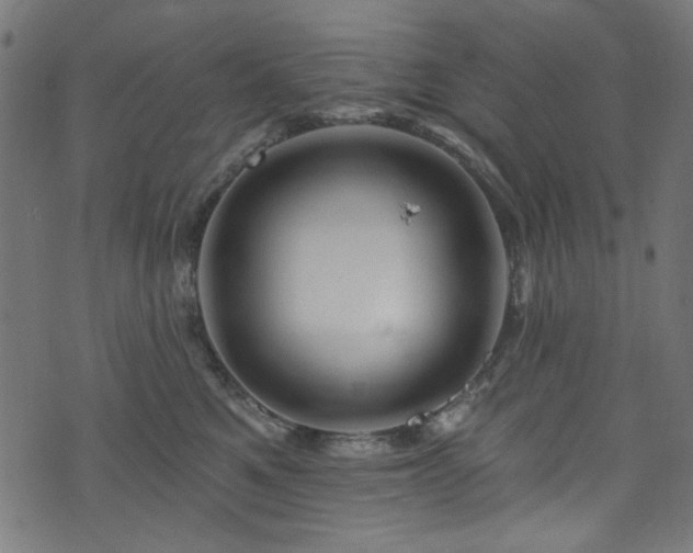 X0000074040521200608281448