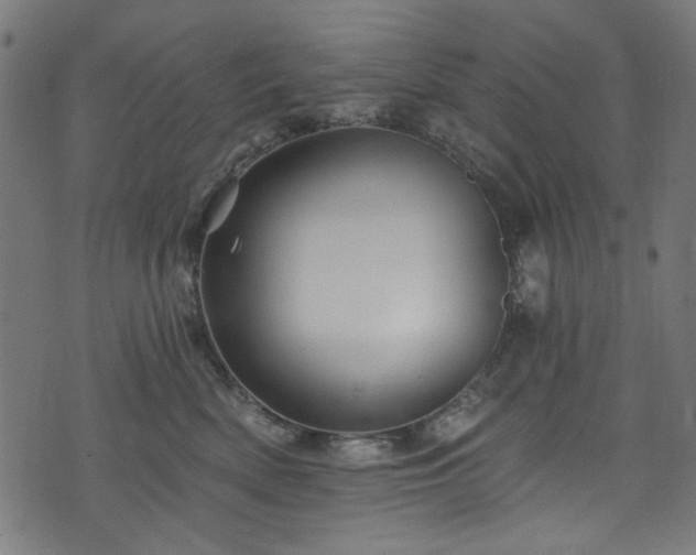 X0000074040522200608281448