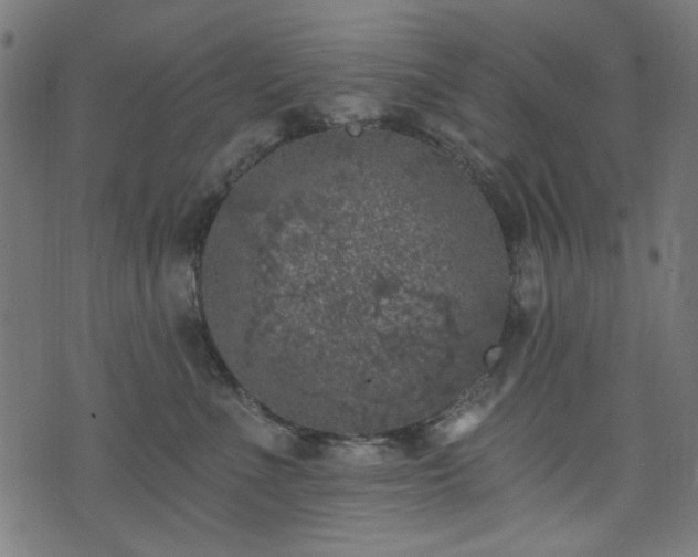 X0000074040523200608281448