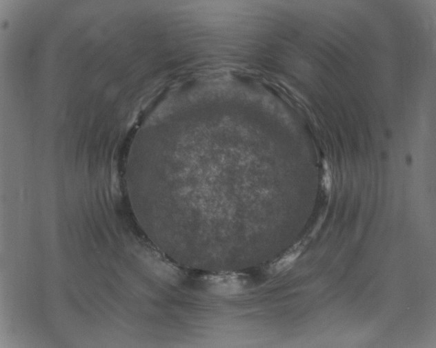 X0000074040524200608281448