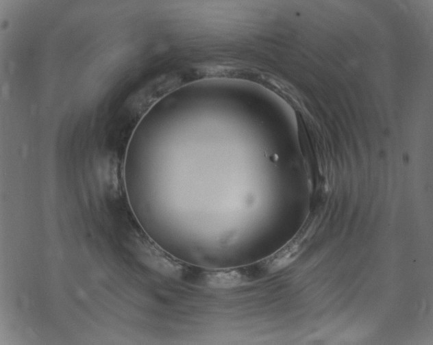 X0000074040525200608281448