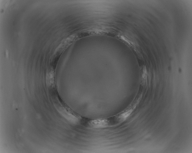 X0000074040526200608281448