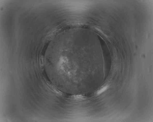 X0000074040528200608281448