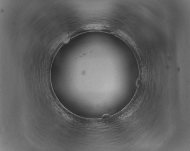 X0000074040529200608281447