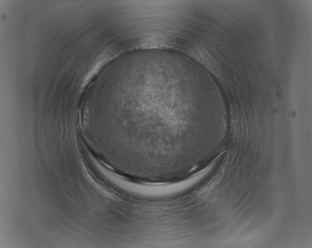 X0000074040530200608281447