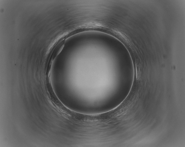 X0000074040531200608281447