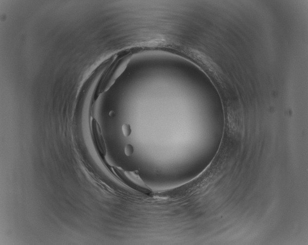 X0000074040532200608281447