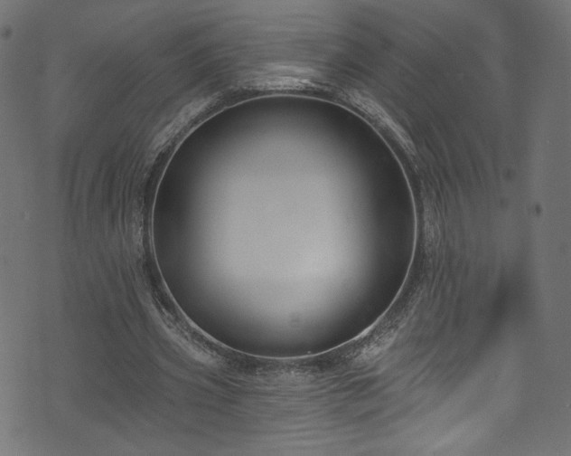 X0000074040533200608281447