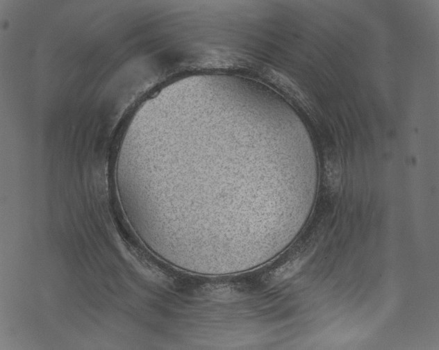 X0000074040534200608281447