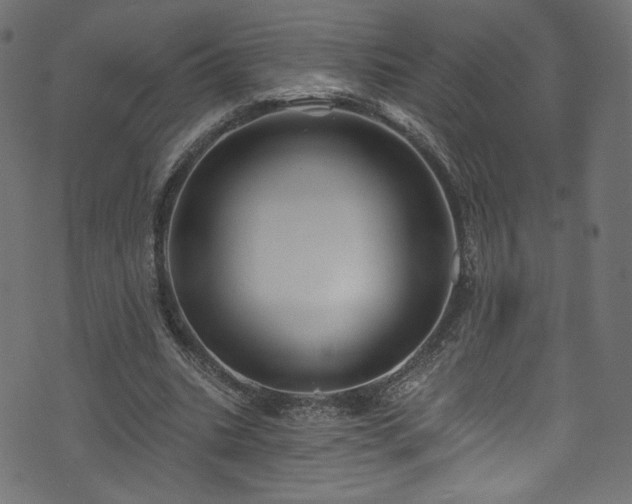 X0000074040535200608281447