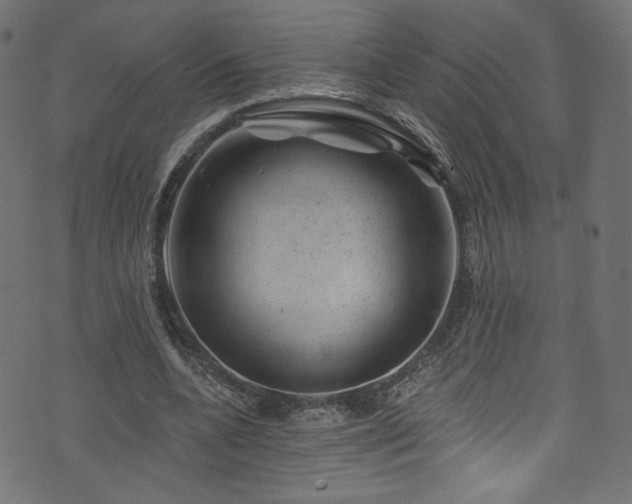 X0000074040536200608281447