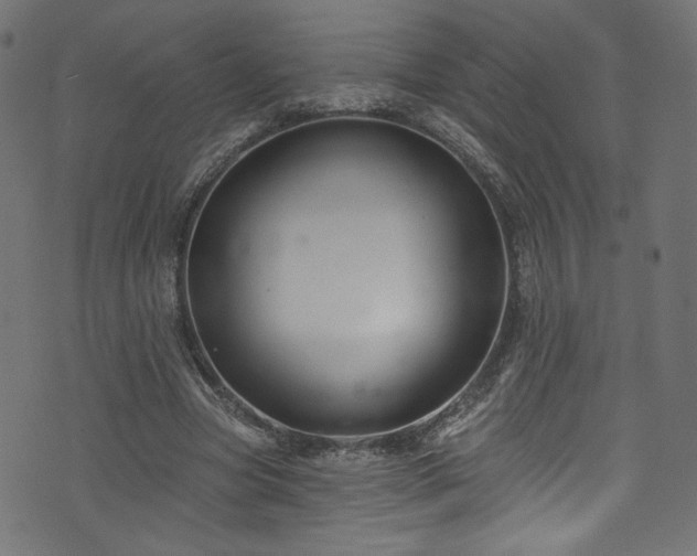 X0000074040537200608281447