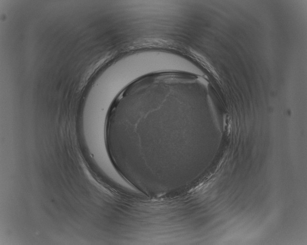 X0000074040538200608281447