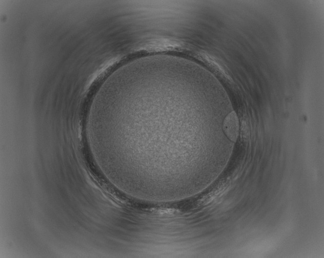 X0000074040539200608281447