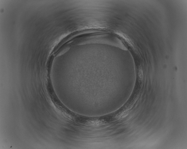 X0000074040540200608281447