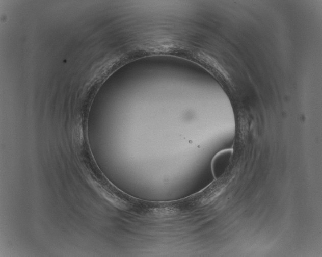 X0000074040541200608281447