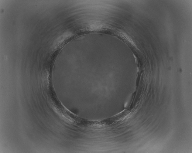 X0000074040542200608281447