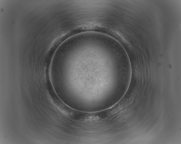 X0000074040543200608281447