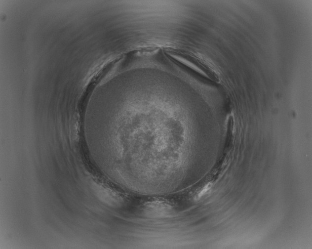 X0000074040544200608281447