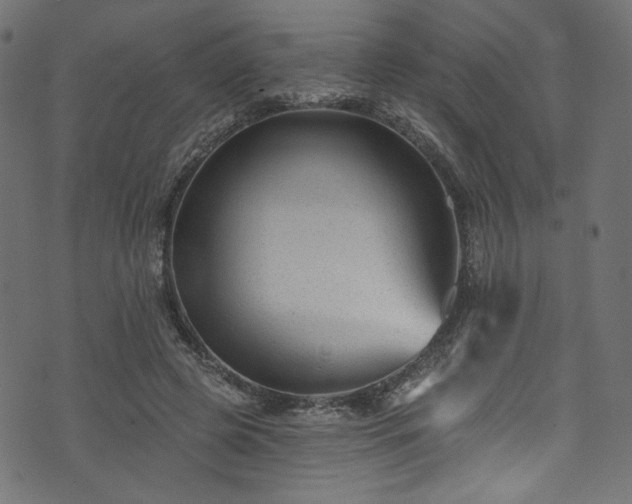 X0000074040545200608281447