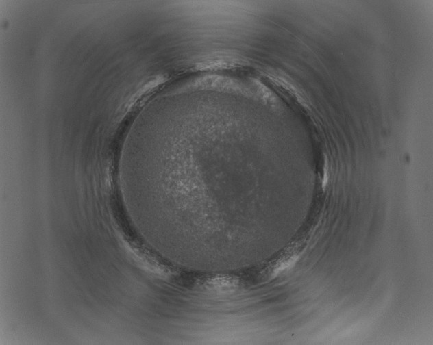 X0000074040546200608281447