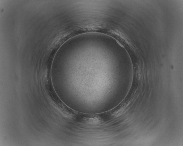 X0000074040548200608281447