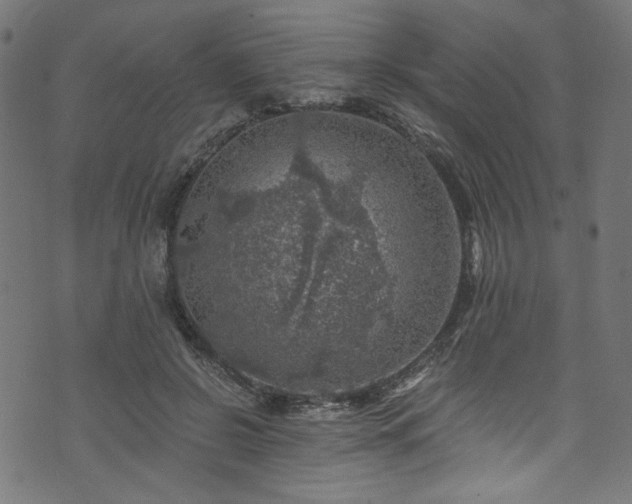 X0000074040550200608281447