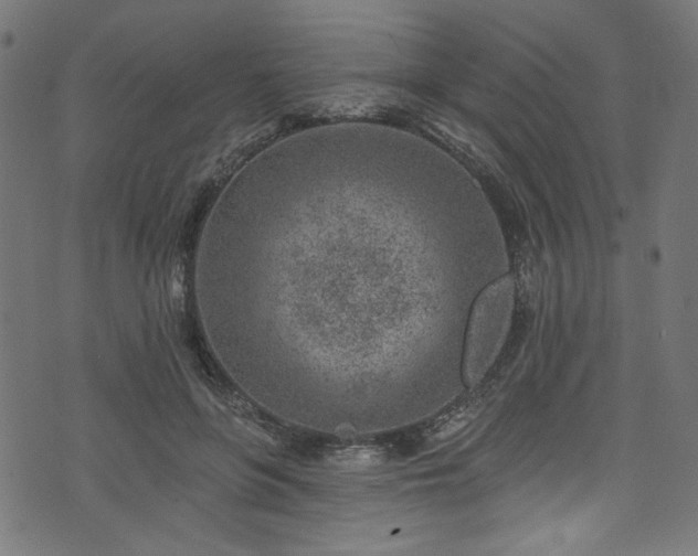 X0000074040551200608281447