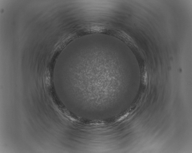 X0000074040552200608281447