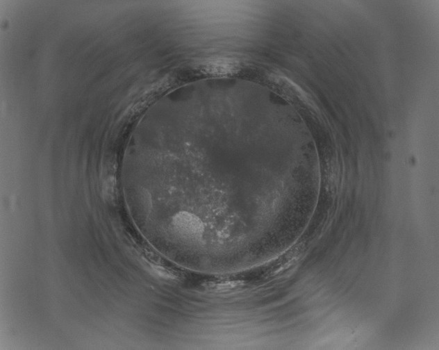 X0000074040553200608281447