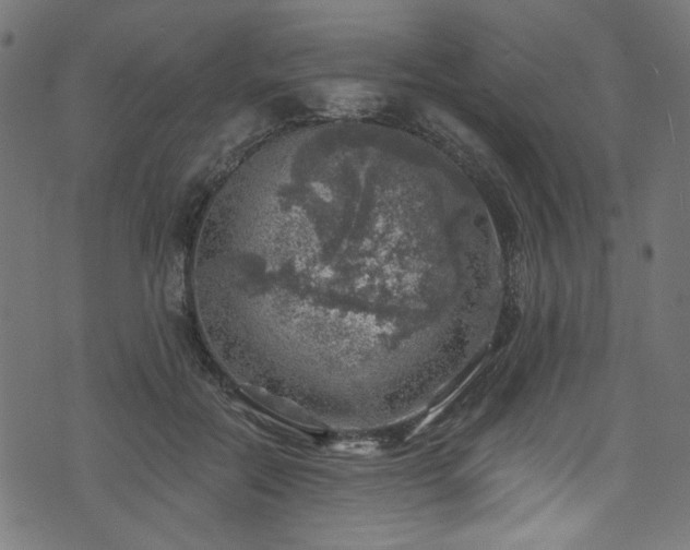 X0000074040554200608281447