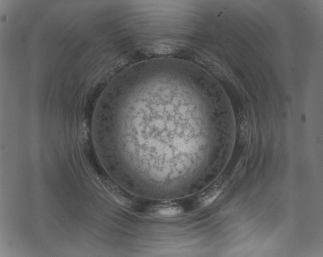 X0000074040555200608281447