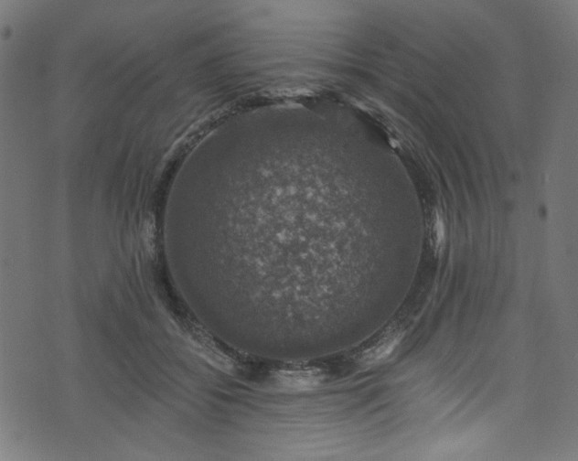 X0000074040556200608281447