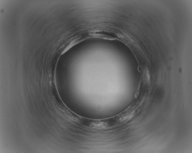 X0000074040557200608281447