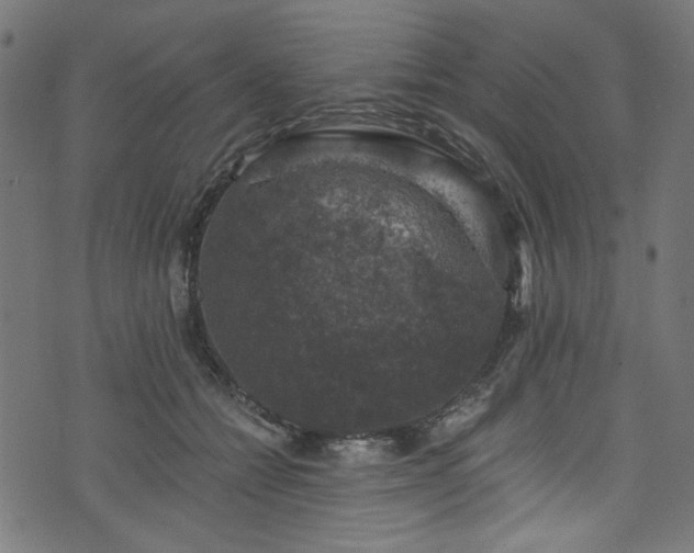 X0000074040558200608281447