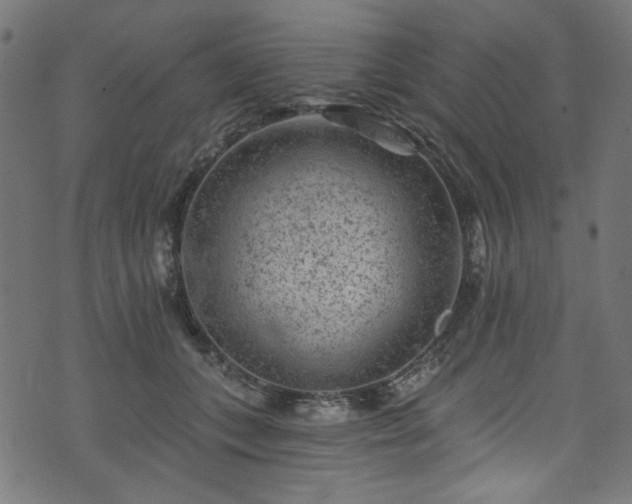 X0000074040559200608281447