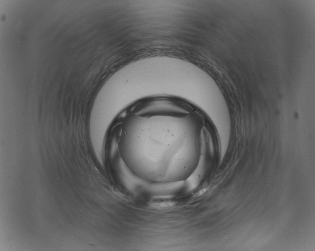 X0000074040561200608281447